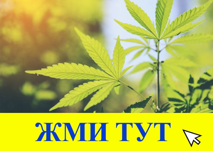 Купить наркотики в Таганроге